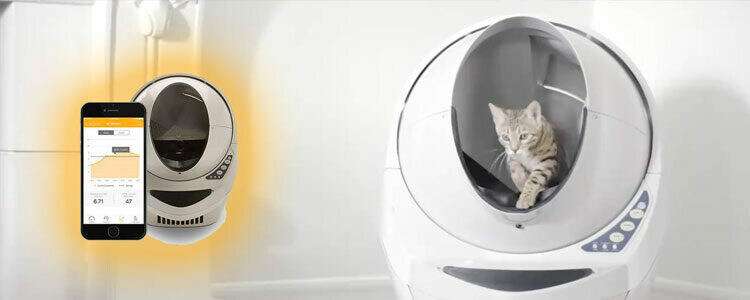More Cat Inventions Purring with Patent Protection and Robotic Wizardry 1